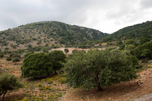 istock typical landscape on the island of Crete 924169802