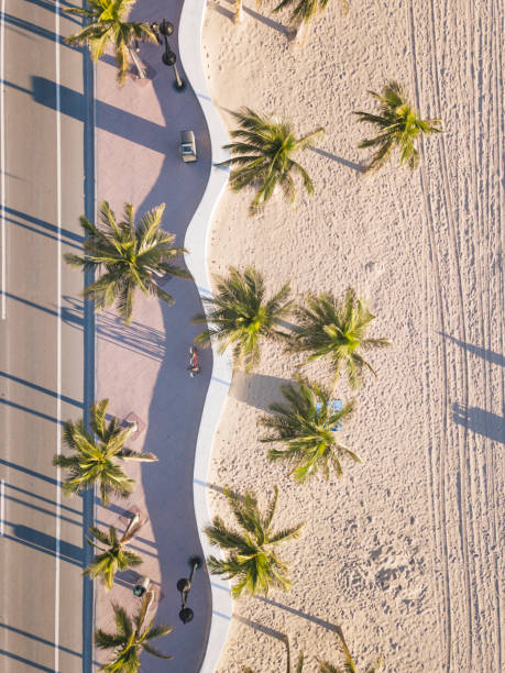 fort lauderdale beach bei sonnenaufgang vom gesichtspunkt der drohne - city of sunrise sunrise tree sky stock-fotos und bilder