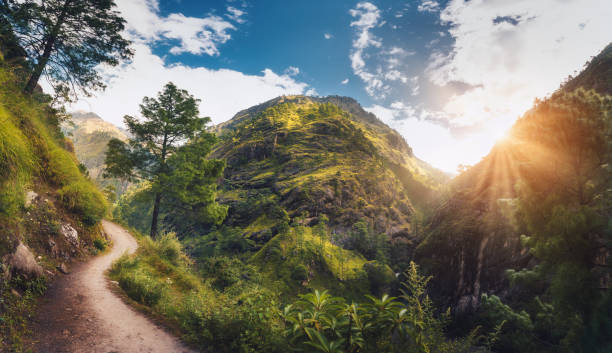 istock Amazing scene with Himalayan mountains covered green grass and trees, blue cloudy sky with sun, clouds and beautiful path in Nepal at sunset. Panoramic landscape .Mountain valley. Travel in Himalayas 924170570