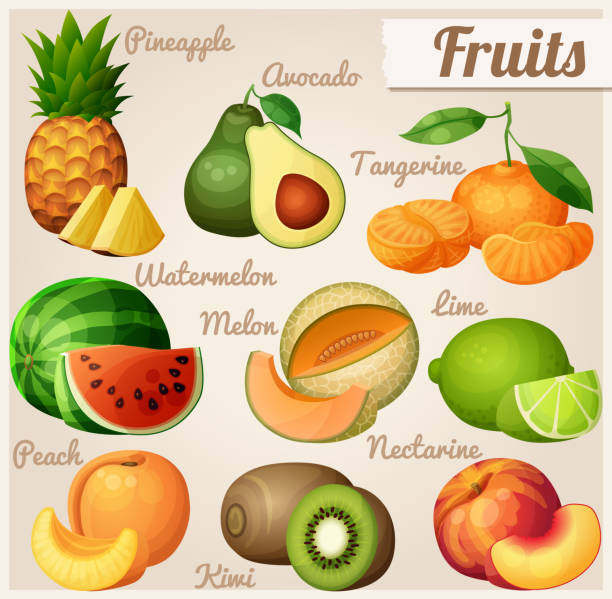 ilustraciones, imágenes clip art, dibujos animados e iconos de stock de conjunto de iconos de comida. frutas. mandarina aguacate, ananas, piña mandarina - kiwi vegetable cross section fruit