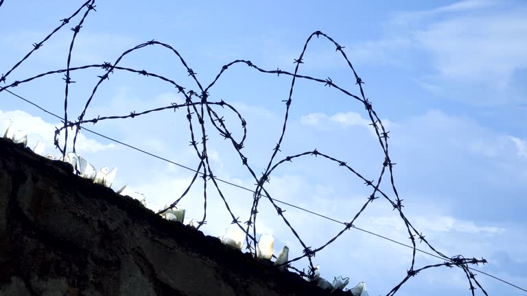 Barbed wire and broken glass fencing