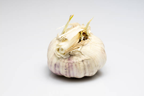 Tasty healthy garlic on white isolated substrate. Vegetables on a white table. Light background