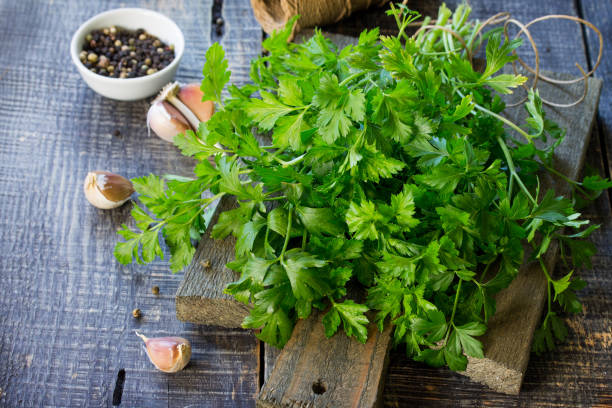 istock Sprigs of fresh parsley, garlic and various spices on the rustic kitchen table with copy space. 924185646