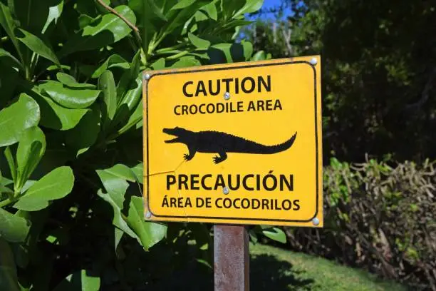 Photo of Crocodile warning sign