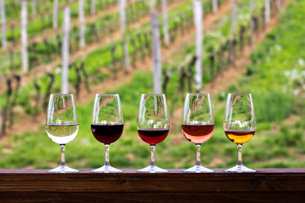 Glasses with wine. Red, pink, white wine in glasses. Glasses with wine. Red, pink, white wine in glasses. set of glasses with red, white and rose wine Tasting wine in the vineyard. wine tasting stock pictures, royalty-free photos & images