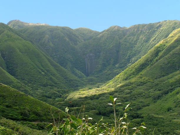 vale halawa molokai - havaí - molokai - fotografias e filmes do acervo