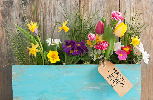 Assorted spring flowers inside a wooden plant holder with mothers day gift label