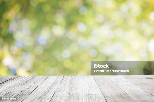 Spring Garden Blur Background Stock Photo - Download Image Now - Table,  Yard - Grounds, Abstract - iStock