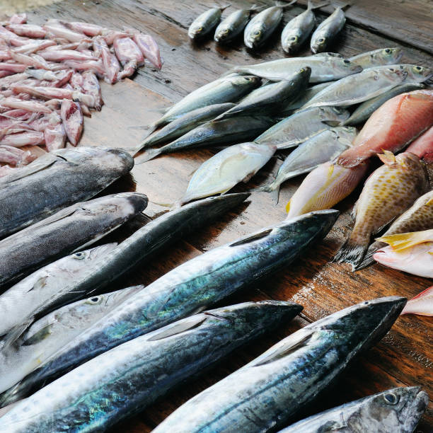 istock Fresh fish and squid on a wooden table. 924201018