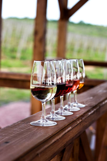 istock Glasses with wine. Red, pink, white wine in glasses. 924204938