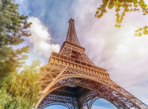 The Eiffel Tower surrounded by Green Leaves and trees in Summer.