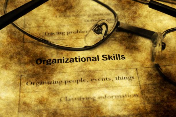 istock Employment application organizational skills 924224770