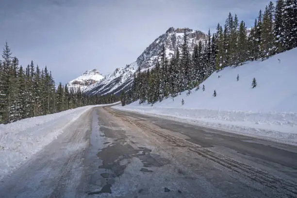 Photo of Icefields Parkway Highway in Winter
