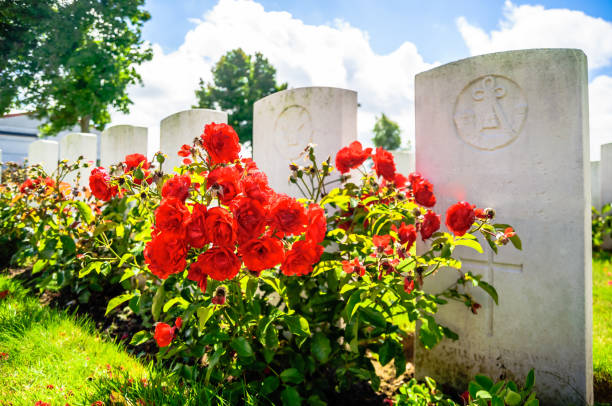 britischer friedhof bei ypern in belgien - flanders war grave war memorial stock-fotos und bilder