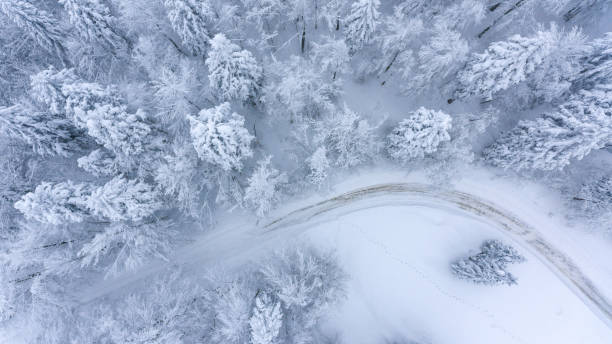 istock Drop down of a road through snow covered forest. 924231266