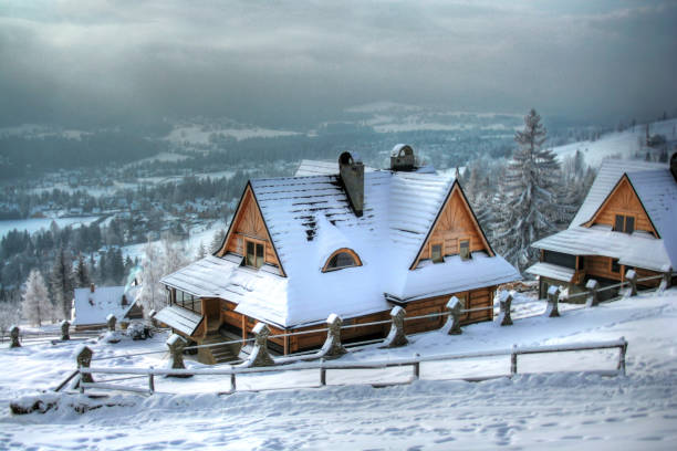 View Of The Winter Morning In The Mountains