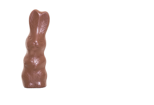 Brown chocolate easter bunny isolated