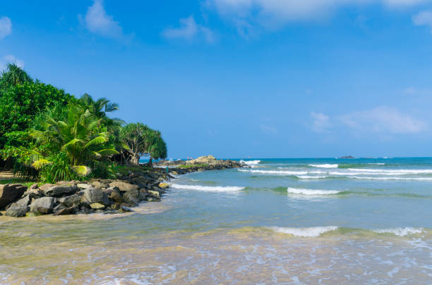 istock Tropical beach in Sri Lanka 924239554