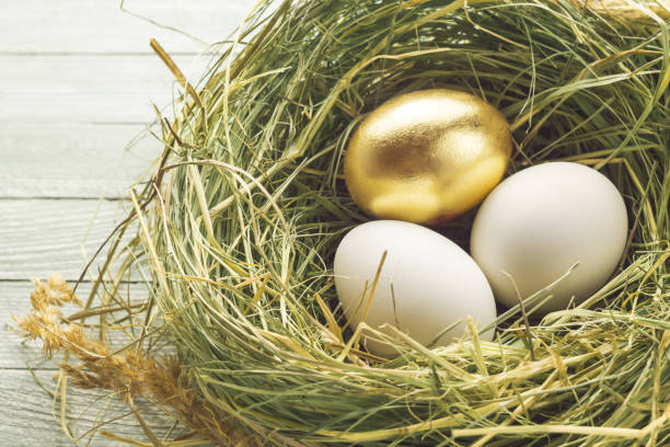 istock One gold and two ordinary eggs in the nest. 924247148