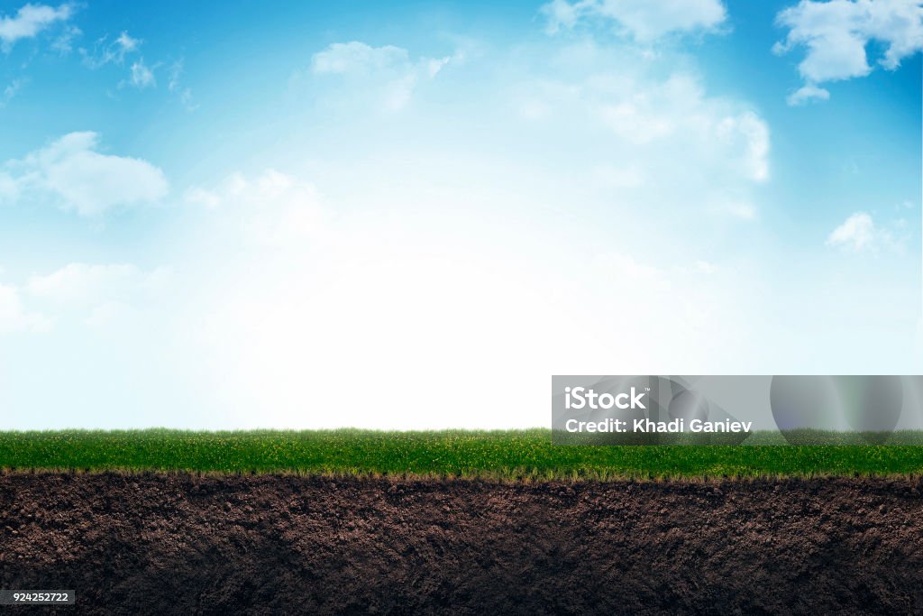 Cute soil and grass in meadow. soil slice, grass, top view Dirt Stock Photo