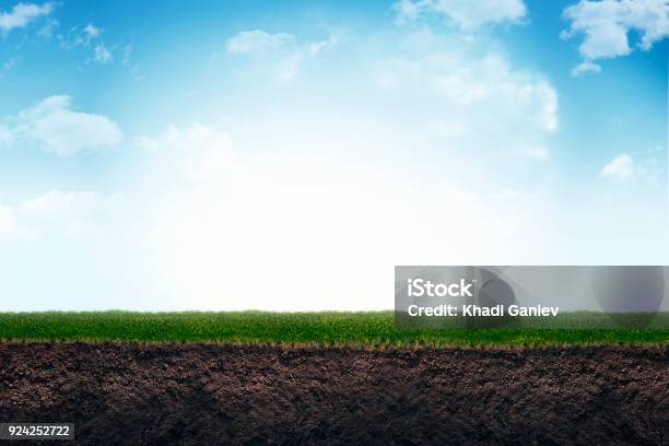 Cute Soil And Grass In Meadow Stock Photo - Download Image Now - Dirt, Land, Grass