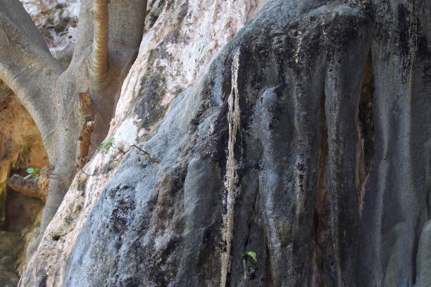 istock Details and forms of rocks on Railay peninsula, Thailand 924263456