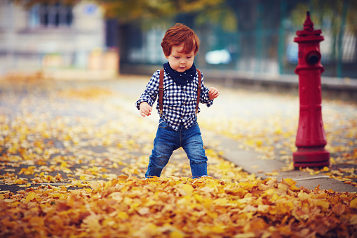 cute fashionable redhead baby boy walking on autumn street