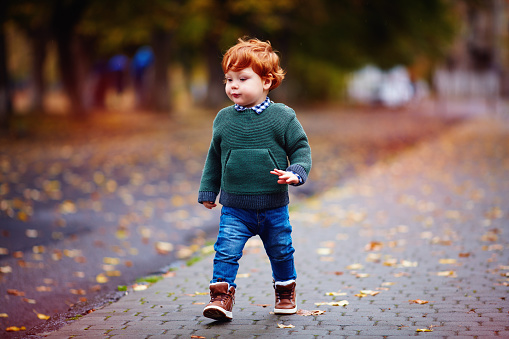 cute redhead toddler baby boy walking on autumn city street in knitted sweater and jeans