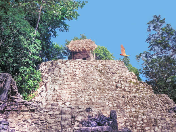 istock Big bird flying over hut on pyramid in Yucatan 924270216