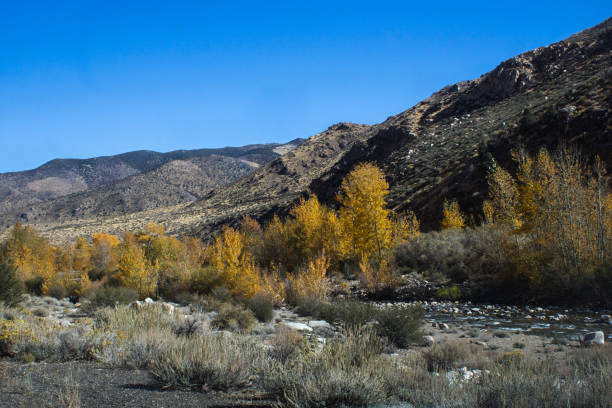 istock Walker Canyon in California 924273242