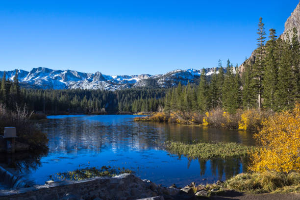 istock Twin Lake in Mammoth Lakes Basin 924273364