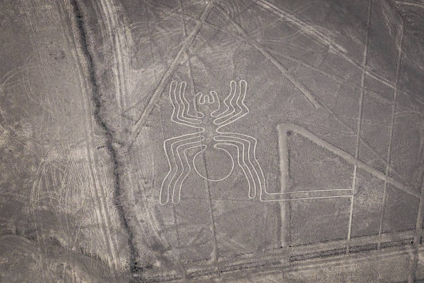 istock Nazca Lines - The Spider - Landmark of Peru. 924273828