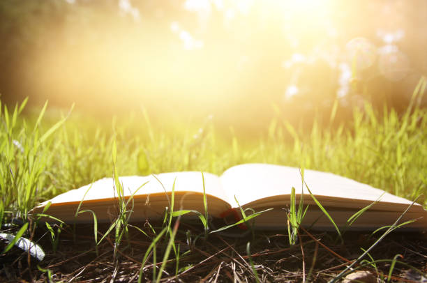 istock open old book over green spring grass in forest at sun light. 924273968