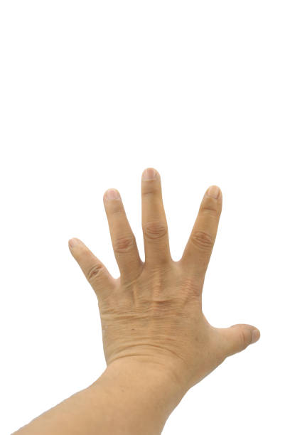 istock hand on isolated on white background.This had clipping path 924276610