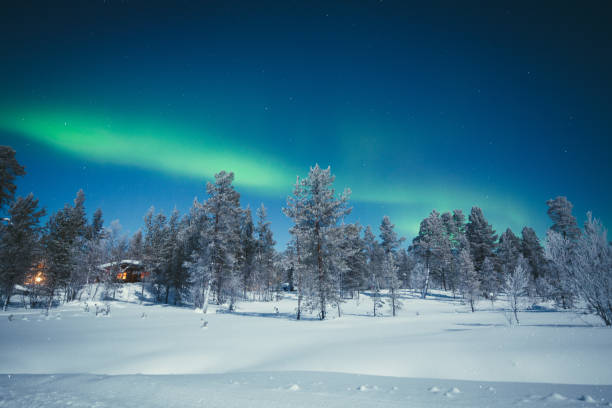Aurora Borealis over winter wonderland scenery in Scandinavia Panoramic view of amazing Aurora Borealis northern lights over beautiful winter wonderland scenery with trees and snow on a scenic cold night in Scandinavia, northern Europe finnish lapland stock pictures, royalty-free photos & images