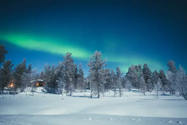 Panoramic view of amazing Aurora Borealis northern lights over beautiful winter wonderland scenery with trees and snow on a scenic cold night in Scandinavia, northern Europe