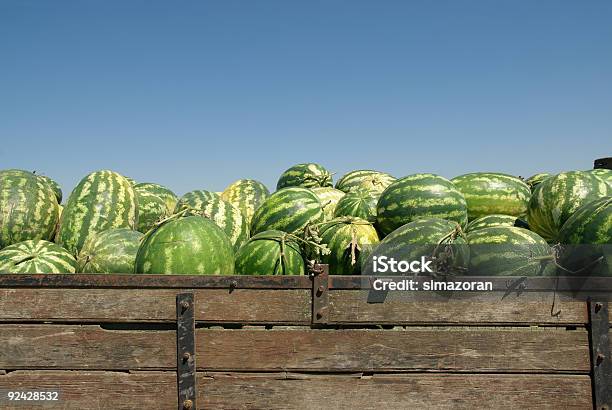 Sandía Foto de stock y más banco de imágenes de Agricultura - Agricultura, Aire libre, Alimento