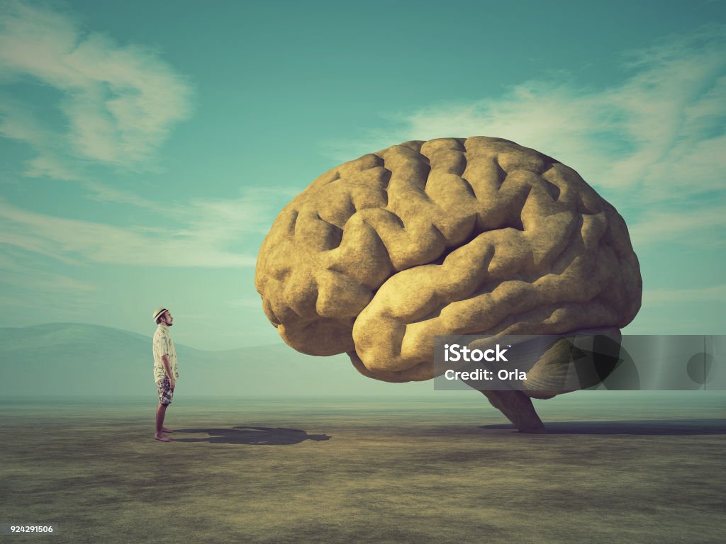 The young and conceptual image of a large stone in the shape of the human brain Intelligence Stock Photo