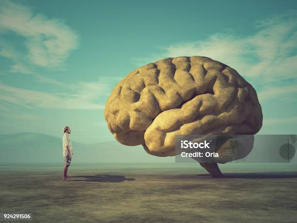 The Young And Conceptual Image Of A Large Stone In The Shape Of The Human Brain Stock Photo - Download Image Now