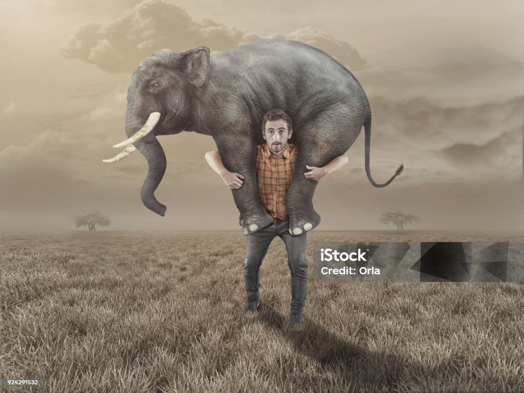 Man carries an elephant in the field. Humor Stock Photo