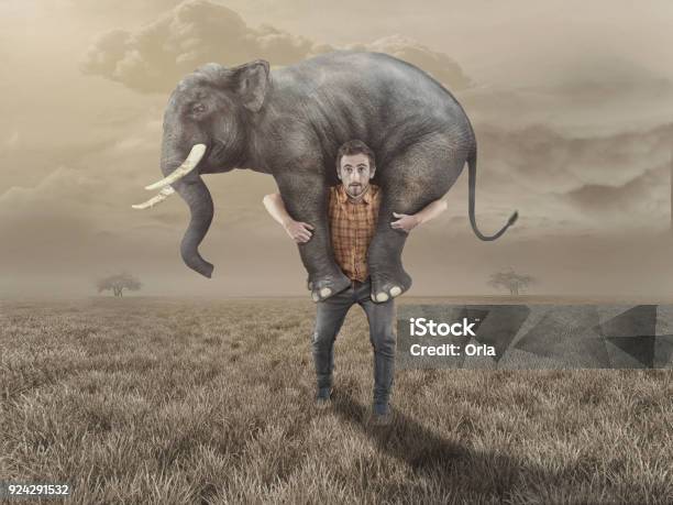 Man Carries An Elephant In The Field Stock Photo - Download Image Now - Humor, Carrying, Elephant