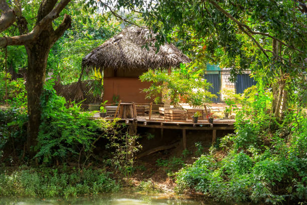 istock hut covered with coconut leaves in the sun 924293796
