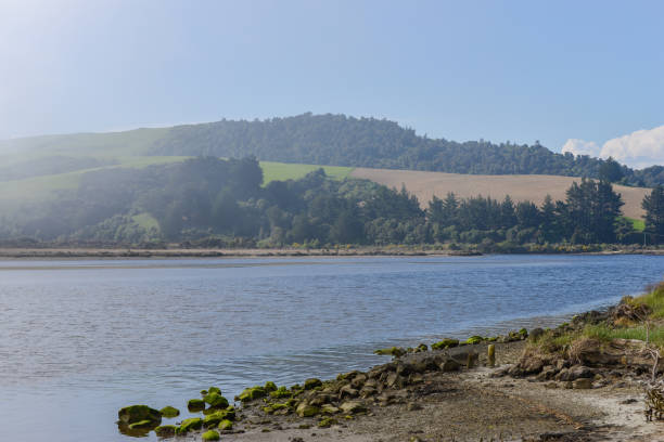 istock Fog on the lake - New Zealand 924297778