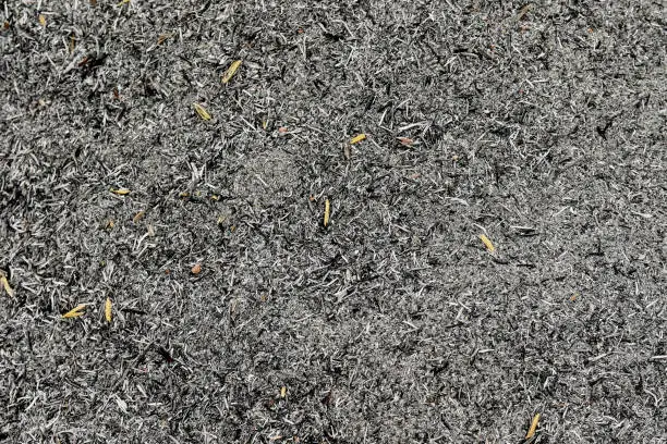 Photo of fly ash : ash produced in small dark flecks, typically from a furnace, and carried into the air.