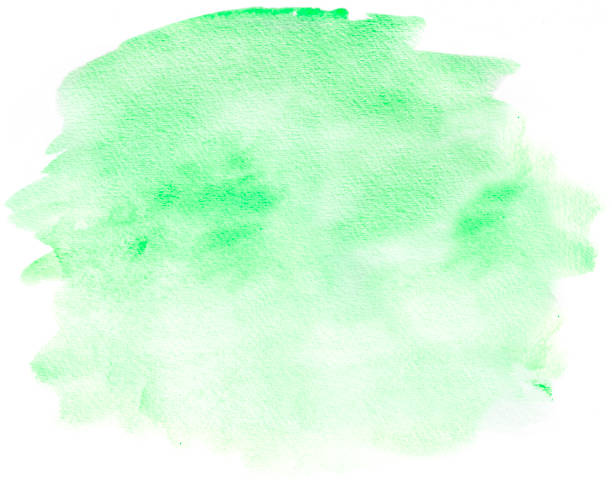 istock Green watercolor background on white 924308148