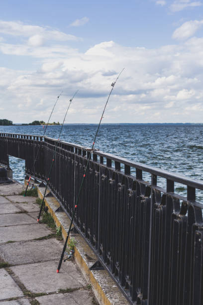 istock Several fishing rods leaning on fence on pier 924308158