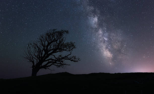 istock One tree hill, under the Galaxy, near Burgas, Bulgaria 924308544
