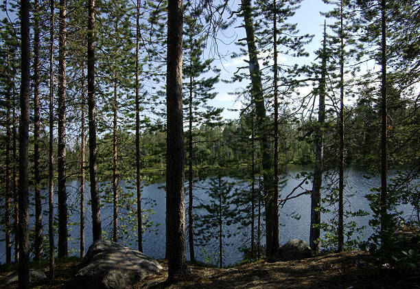 istock Finland lake view Kuusamo 92430896