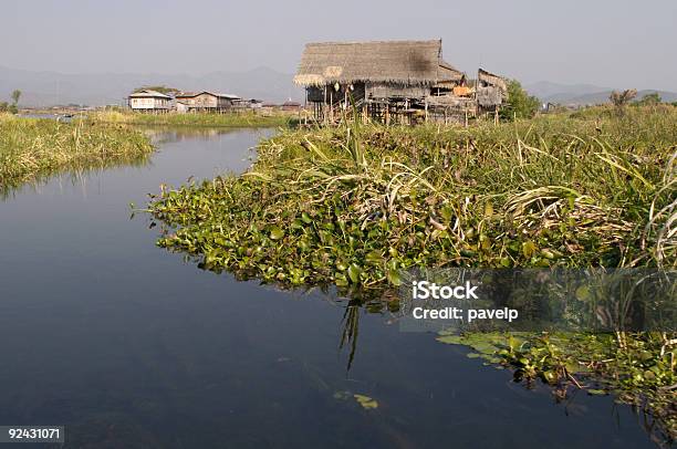 ハウスわらぶき屋根の高床式 - かやぶき屋根のストックフォトや画像を多数ご用意 - かやぶき屋根, アジア大陸, インレー湖