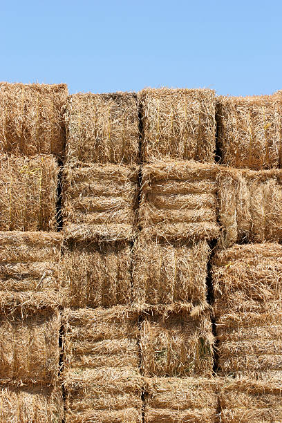 istock hay bales wall against blue sky 92431124